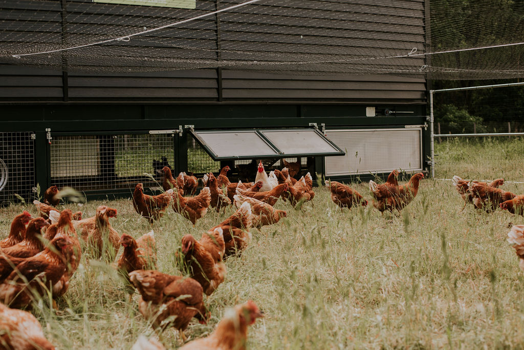 LEONNEPHOTOGRAPHY_(46van122)