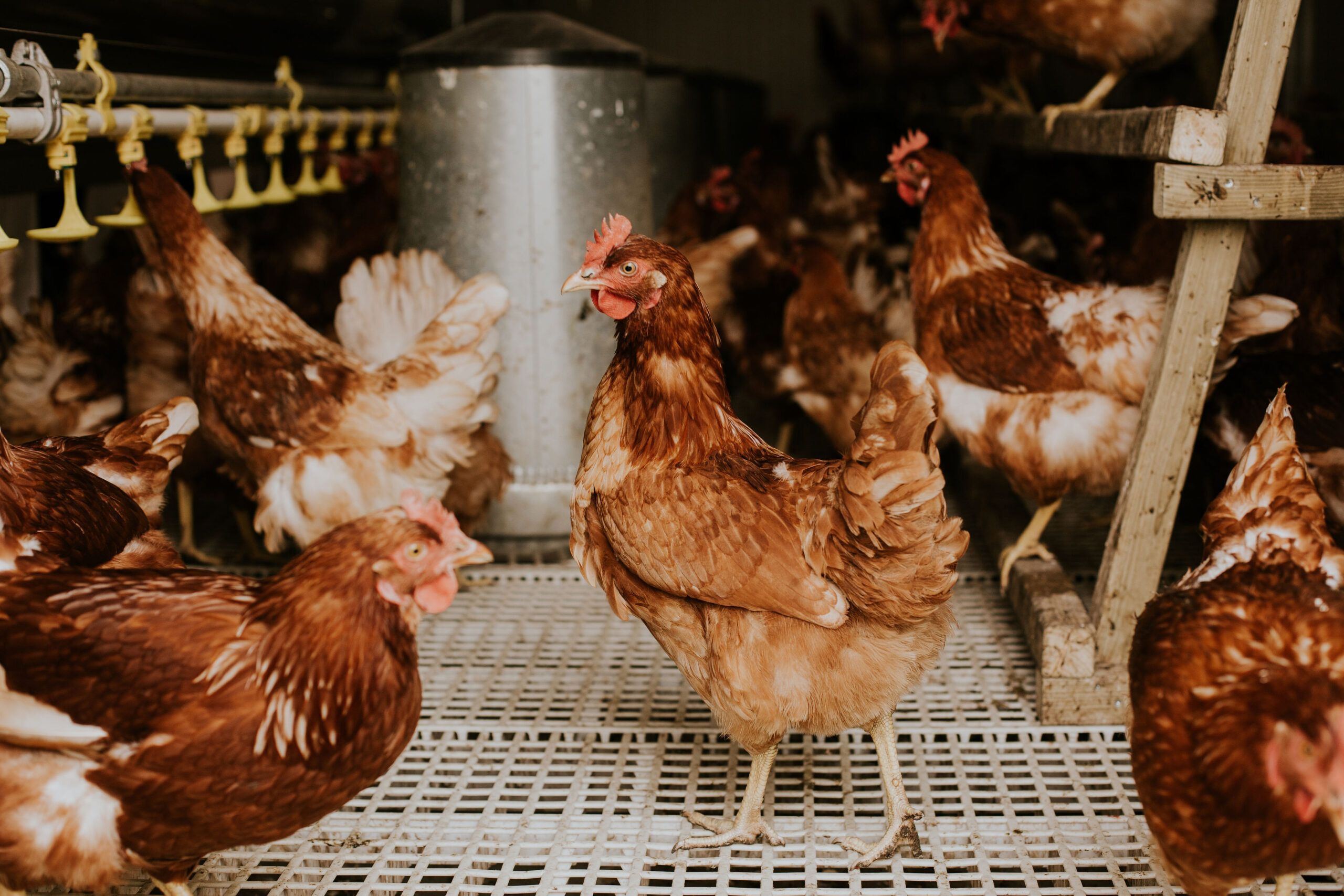 LEONNEPHOTOGRAPHY_(60van122)